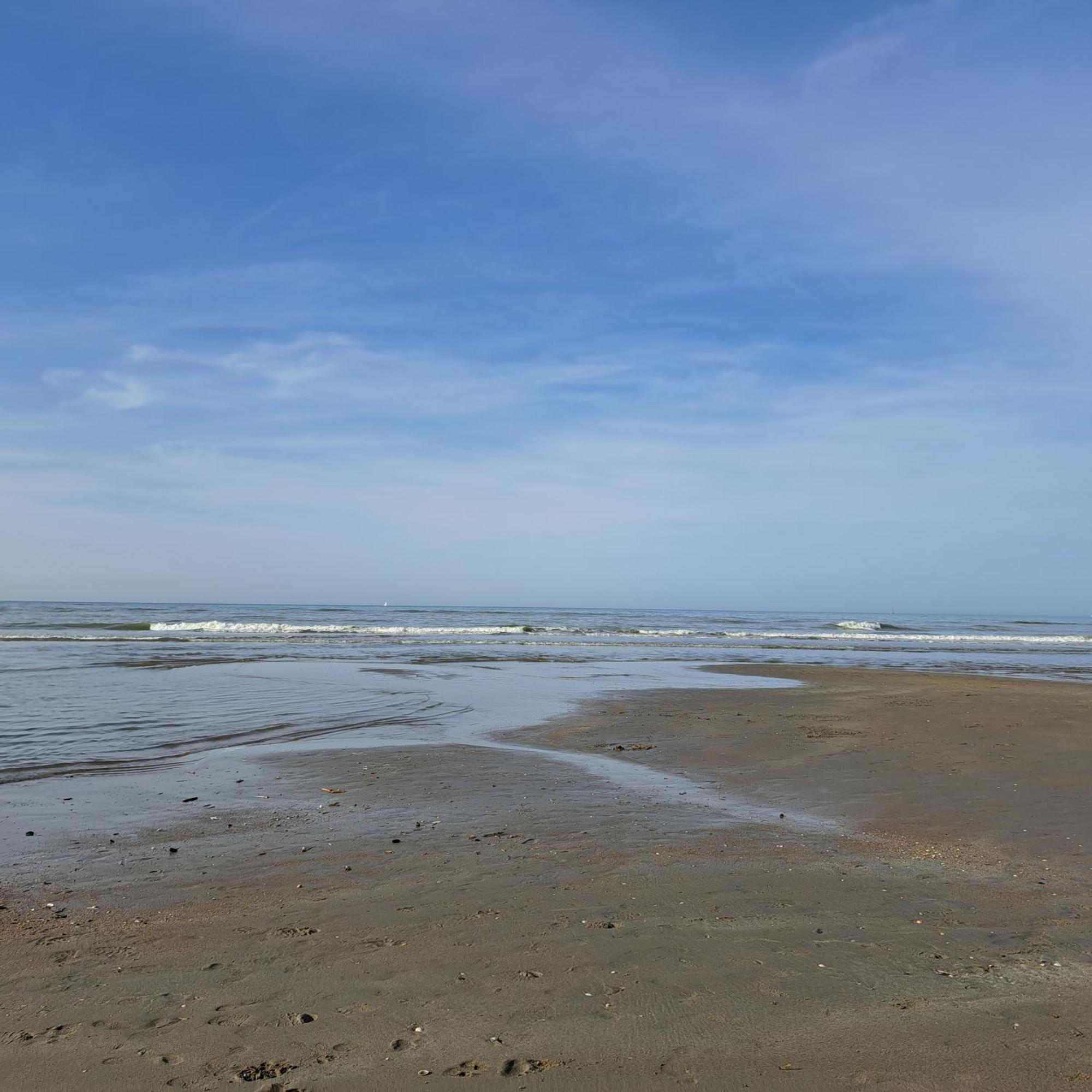 Dunehuys Koksijde Exteriör bild